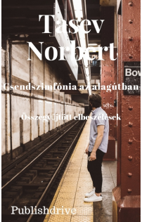 Norbert Tasev: Csendszimfónia az alagútban