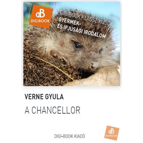 Verne Gyula: A chancellor epub